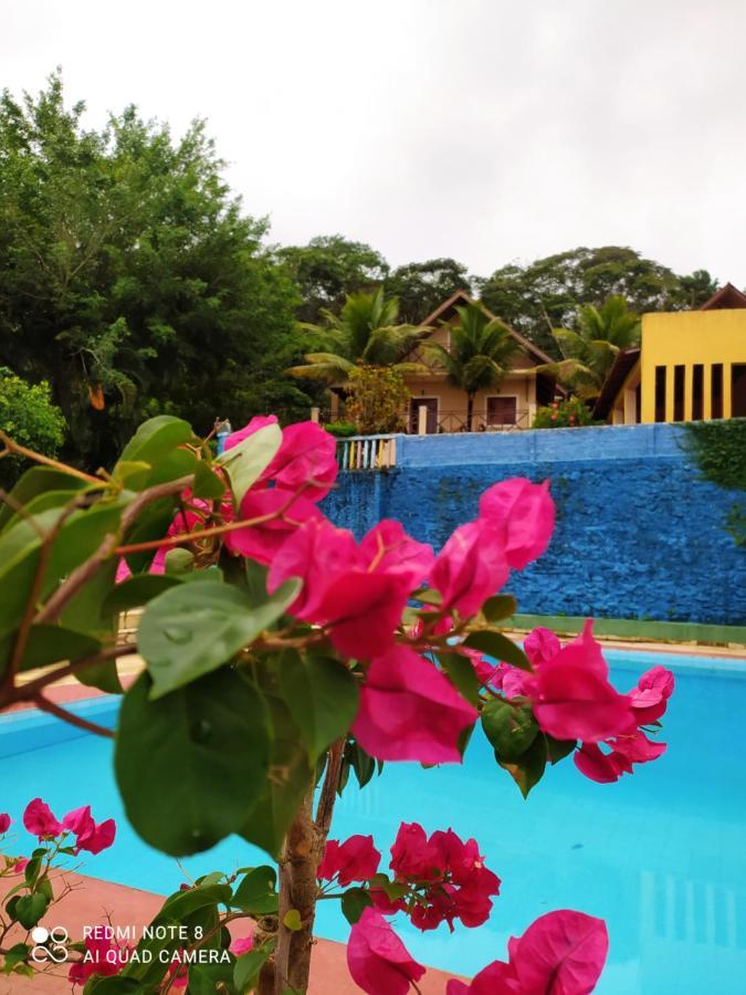 Guaramiranga-Ce Chale Do Rei Villa Екстериор снимка
